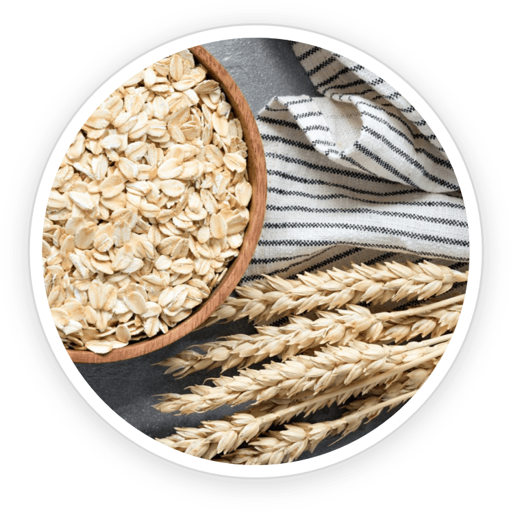 Oats- GutOptim Ingredient